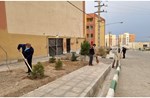 طرح جهادی شهید باکری در محله اسکان سازه گروهه فاز7  شهر جدید هشتگرد
