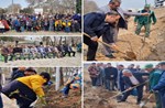 آیین گرامیداشت هفته منابع طبیعی و روز درختکاری در شهر مهستان برگزار شد